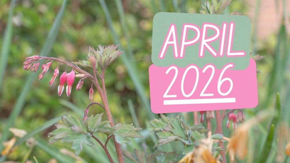 April’s Plants of the Month