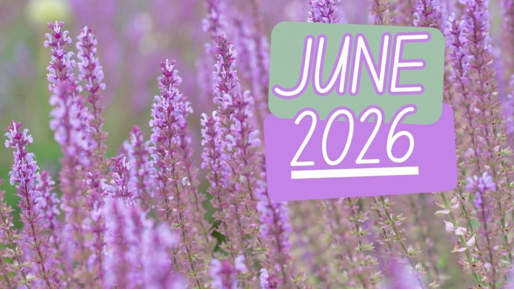 June’s Plants of the Month