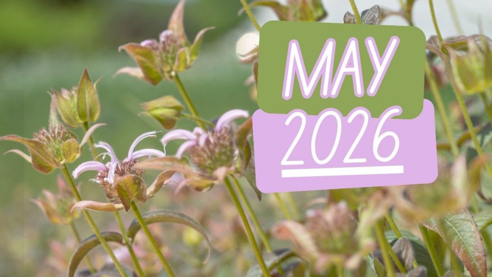 May’s Plants of the Month
