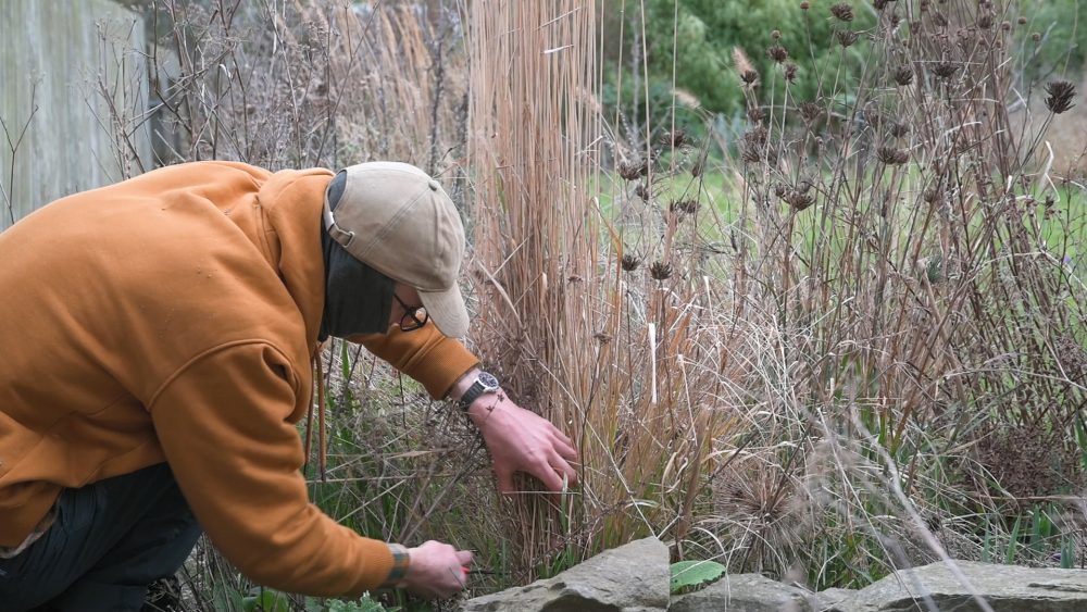 Care for your naturalistic border